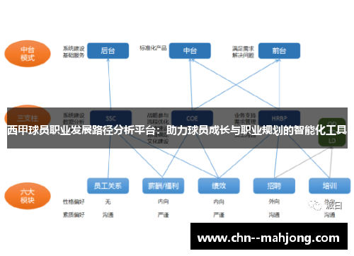 西甲球员职业发展路径分析平台：助力球员成长与职业规划的智能化工具
