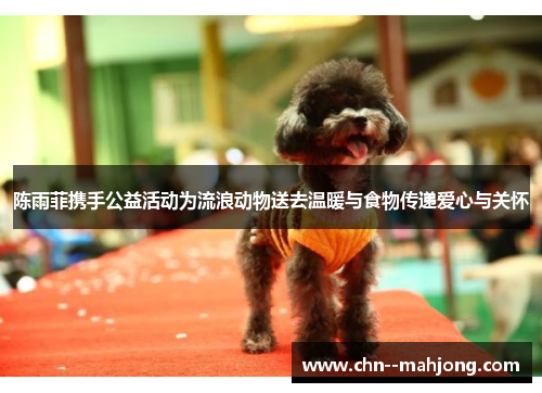 陈雨菲携手公益活动为流浪动物送去温暖与食物传递爱心与关怀 陈雨菲携手公益活动为流浪动物送去温暖与食物传递爱心与关怀