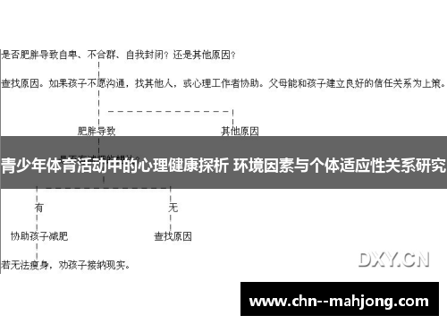 青少年体育活动中的心理健康探析 环境因素与个体适应性关系研究 青少年体育活动中的心理健康探析 环境因素与个体适应性关系研究