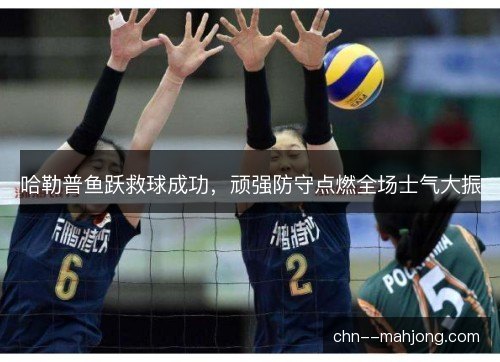 哈勒普鱼跃救球成功，顽强防守点燃全场士气大振